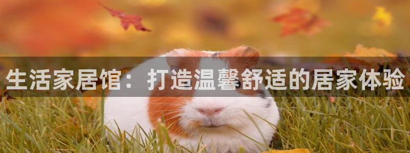 ug环球代理