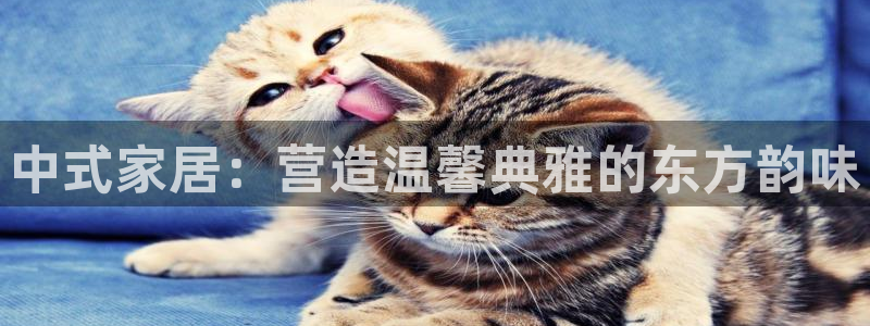 ug环球官网在线