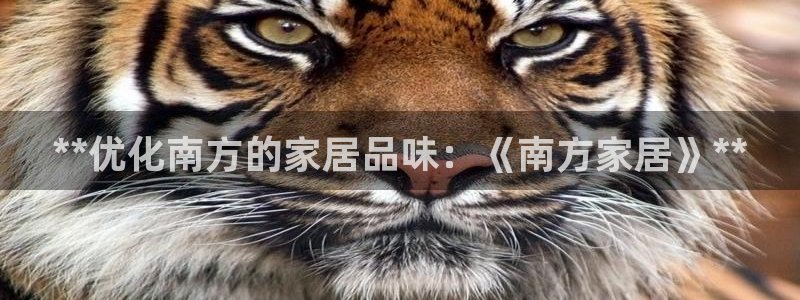 UG环球视讯