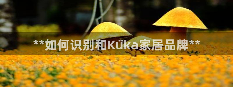 UG环球视讯