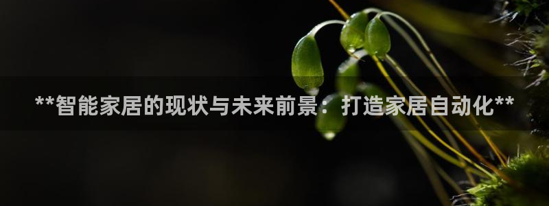 ug环球代理开户