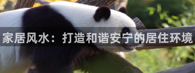 UG环球会员官方
