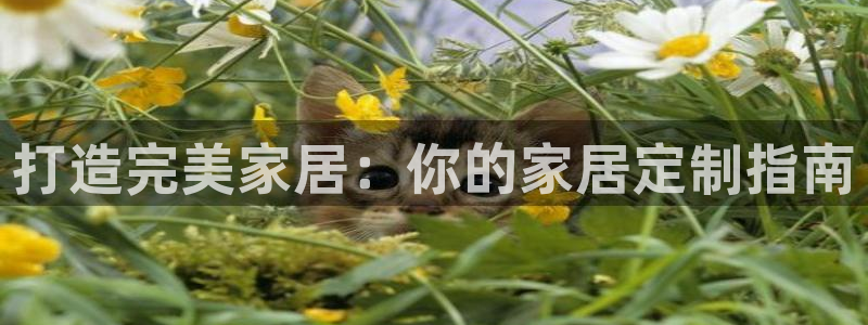 ug环球正网买分