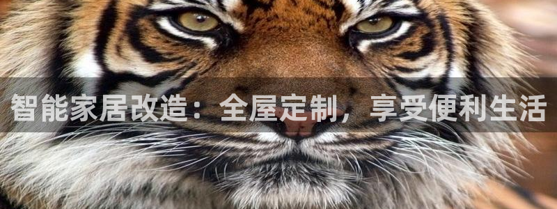 ug环球官网代理
