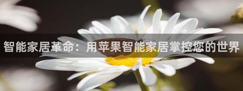 ug环球会员手机版下载官网