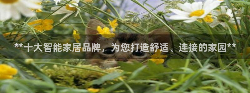 ug环球会员手机版下载