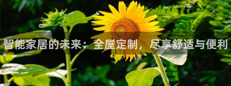 ug环球正网开户