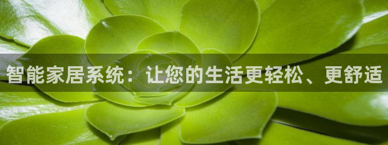 ug环球会员手机版下载官网