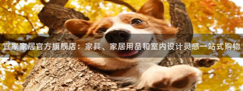 ug环球注册会员