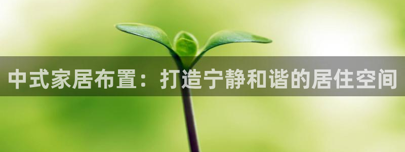 UG环球代理