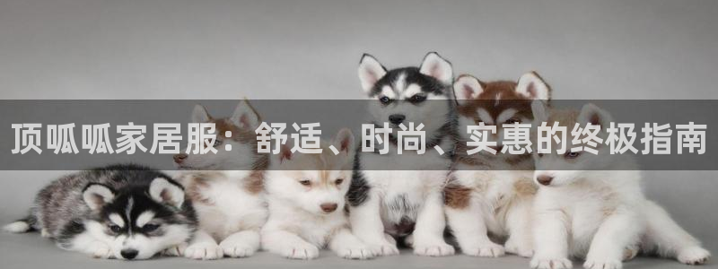 ug环球网