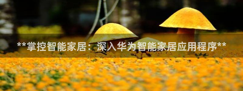 ug环球去唯xkk908