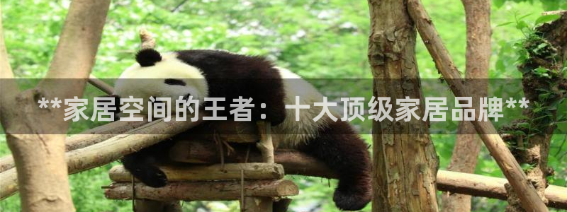 ug环球买分卖分
