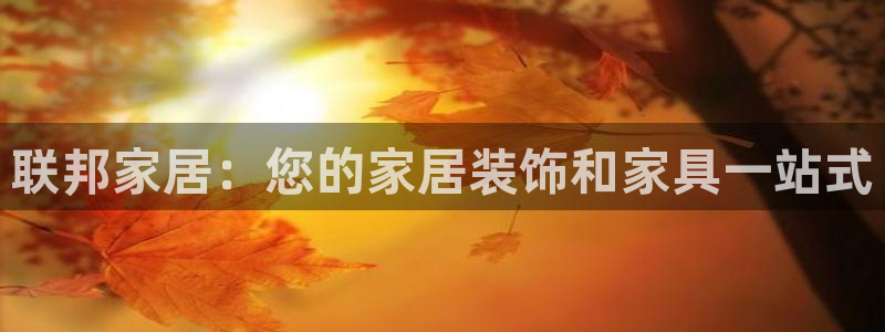 UG环球代理