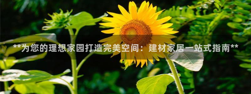 ug环球360