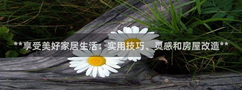 UG环球国际在线
