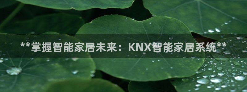 ug环球买分卖分