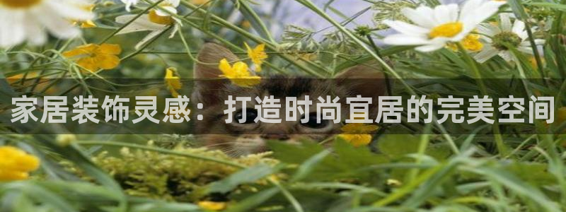 ug环球找唯xkk 908
