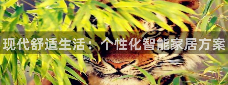 ug环球地址在哪里