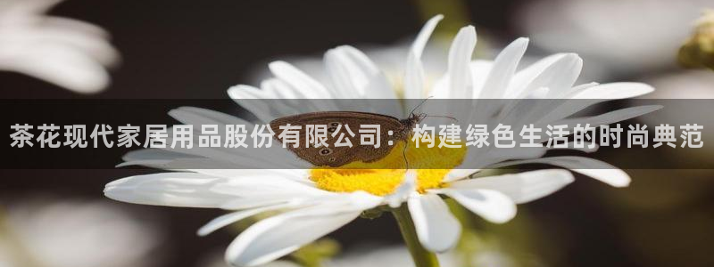 UG环球国际在线