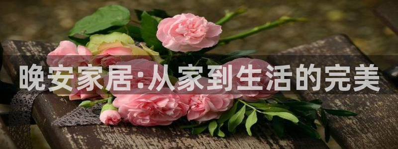 ug环球视讯延时软件：晚安家居:从家到生