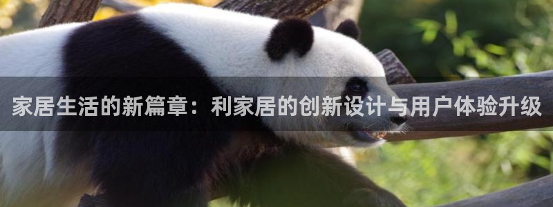 ug环球官网入口
