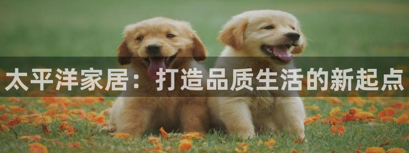 ug环球官网入口