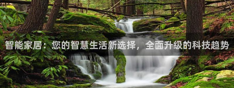 UG环球会员官方