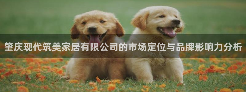 ug环球信用盘