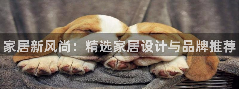 UG环球视讯
