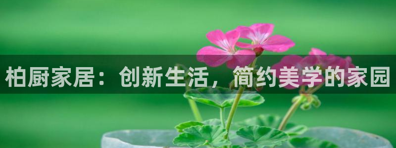 ug环球视讯延时软件