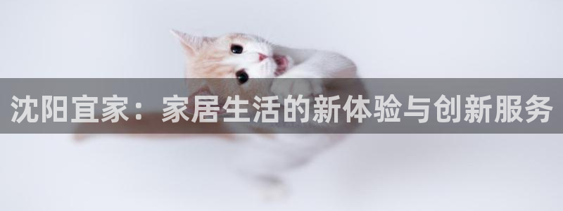 ug环球密码重置是多少位数啊