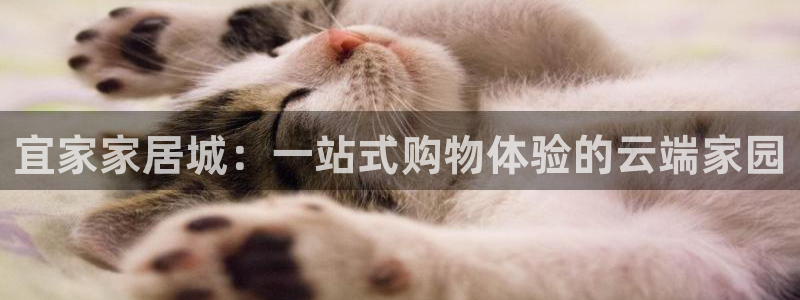 ug环球假网一比一