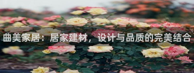 ug环球官网会员登录