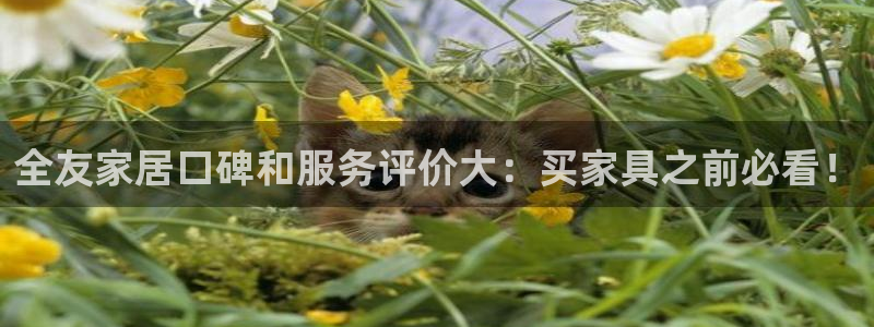 ug环球去唯xkk908