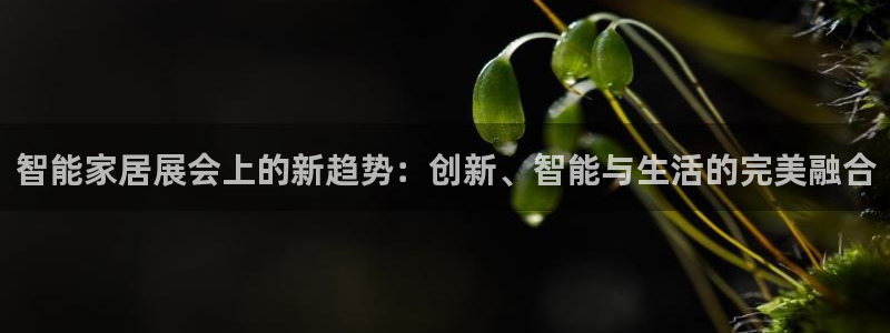 ug环球会员开户