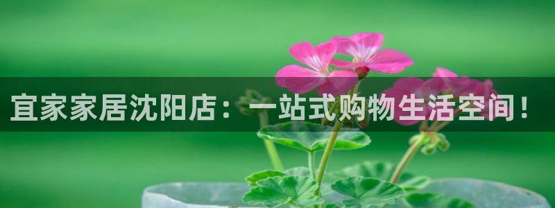 ug环球官网登录