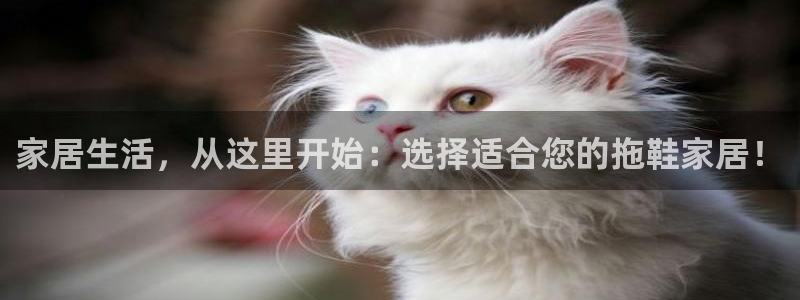 ug环球会员注册开户