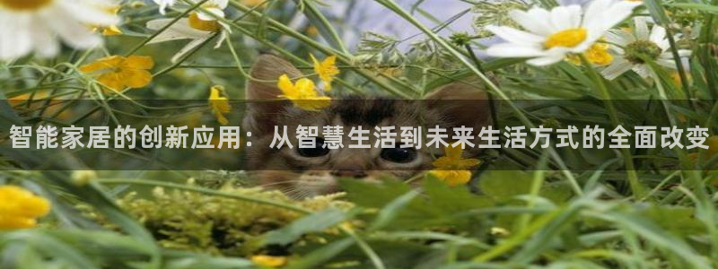 ug环球密码重置是多少位数啊