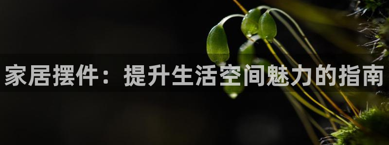 ug环球官网注册会员登录