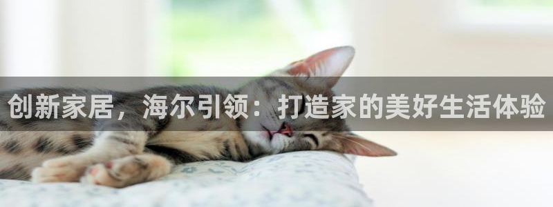 uG环球网站